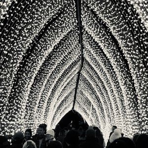 Meet your Posher, Ray